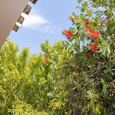 Вилла Caterina La Maddalena (Cagliari)